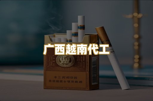 广西越南代工